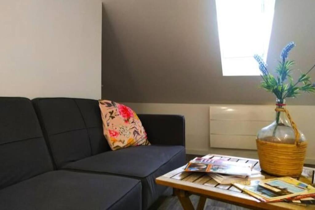 Le Cours Foucault - 3 Appartements - 8 Couchages Montauban Exteriér fotografie
